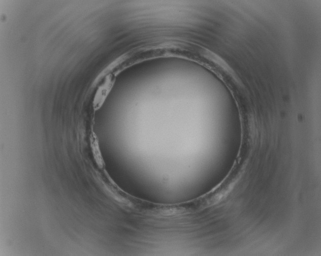 X0000077360826200611101637