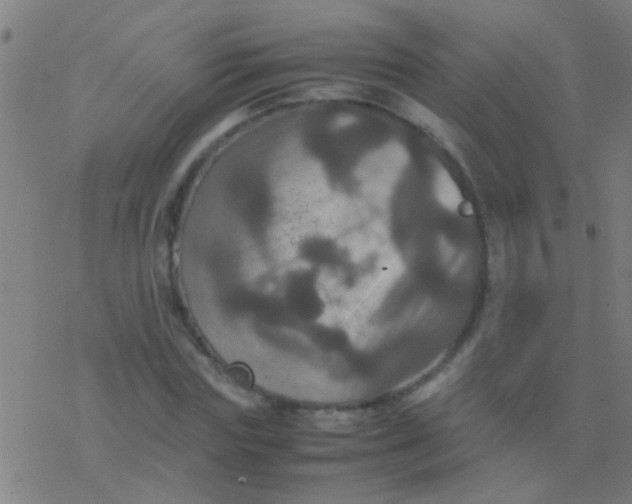 X0000077360827200611101637