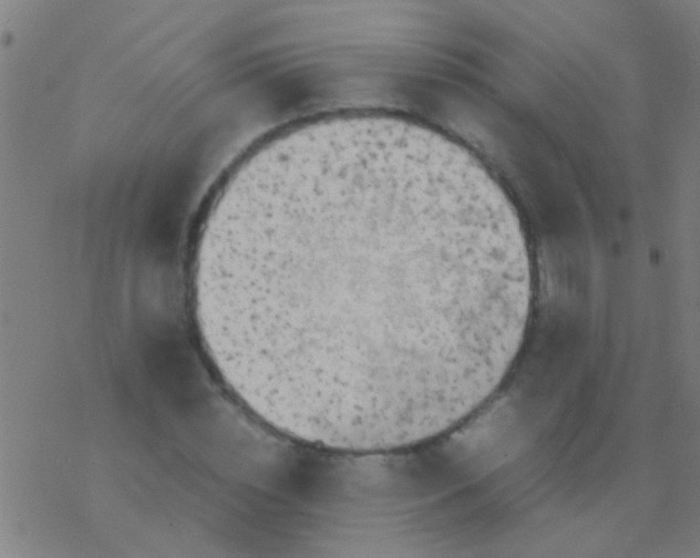 X0000077360828200611101637