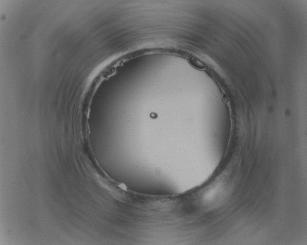 X0000077360830200611101637