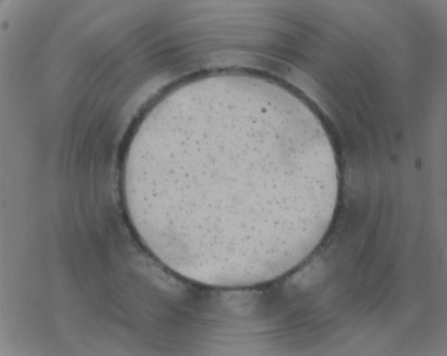 X0000077360832200611101637