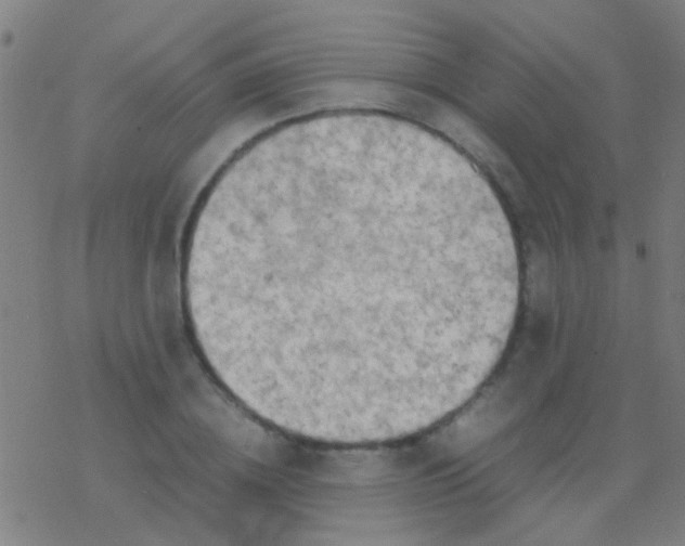 X0000077360836200611101637