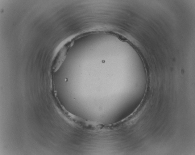 X0000077360838200611101637