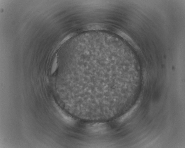 X0000077360841200611101637