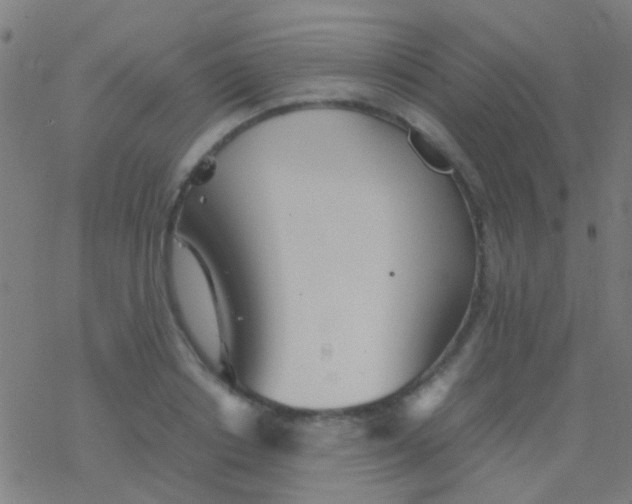 X0000077360842200611101637