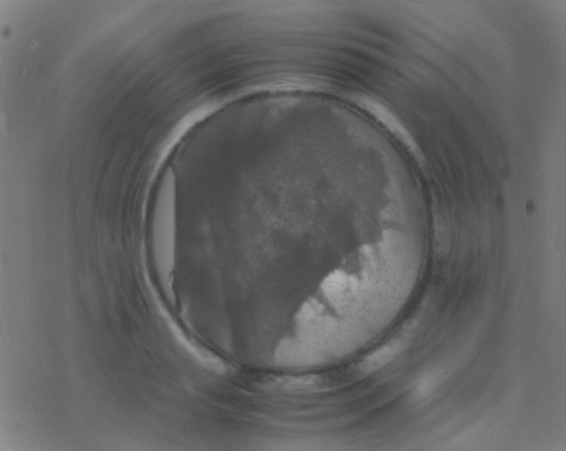 X0000077360845200611101637