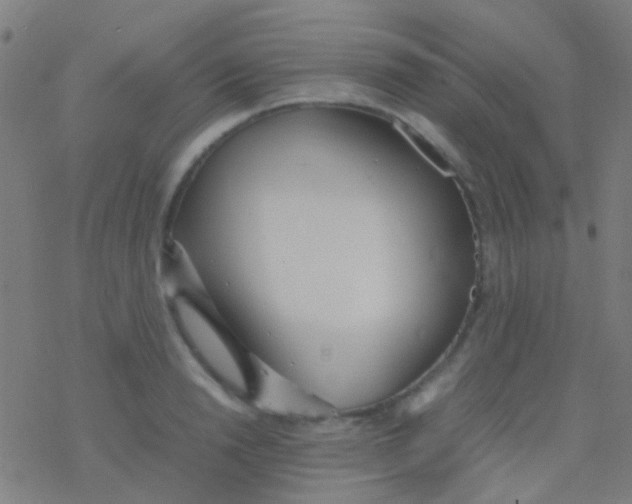 X0000077360846200611101637