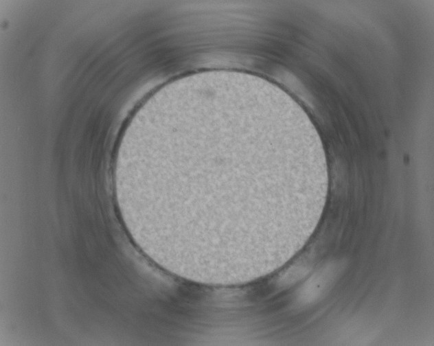 X0000077360848200611101637