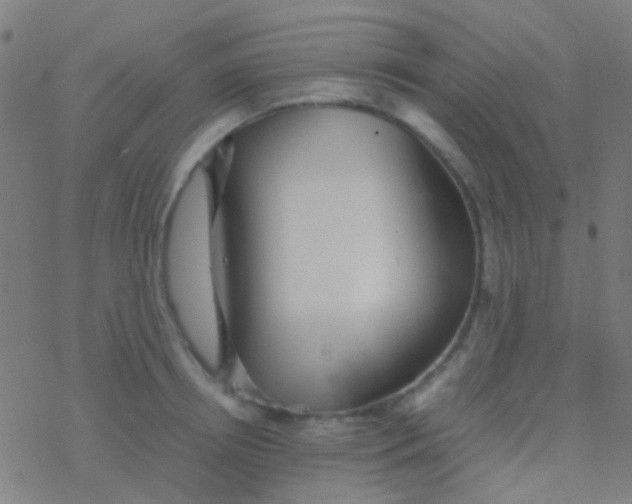 X0000077360850200611101637