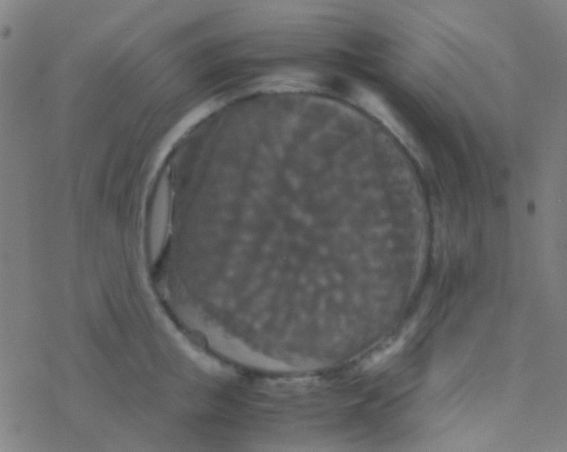 X0000077360853200611101637