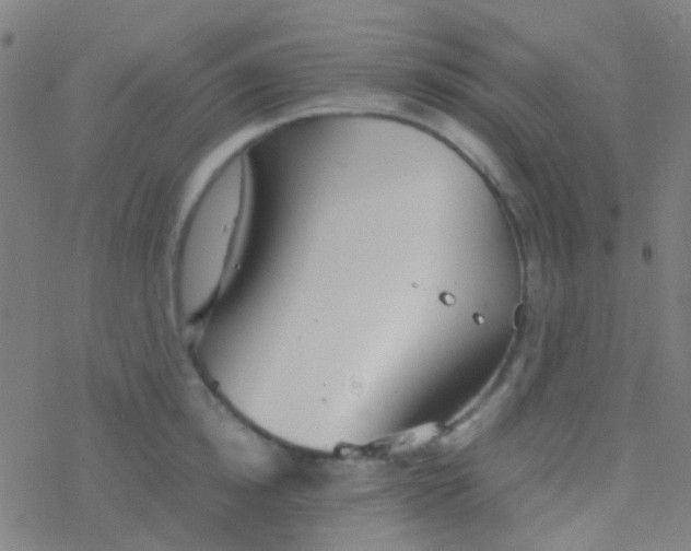 X0000077360854200611101637