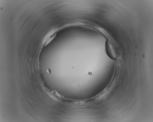 X0000077360858200611101637