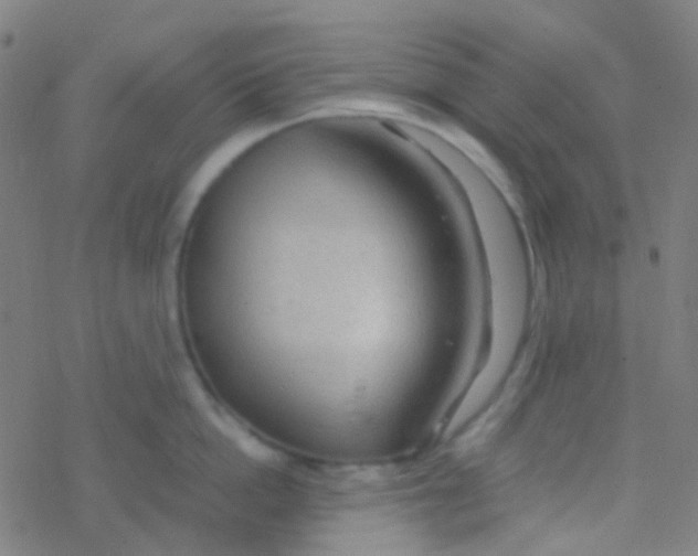 X0000077360862200611101637