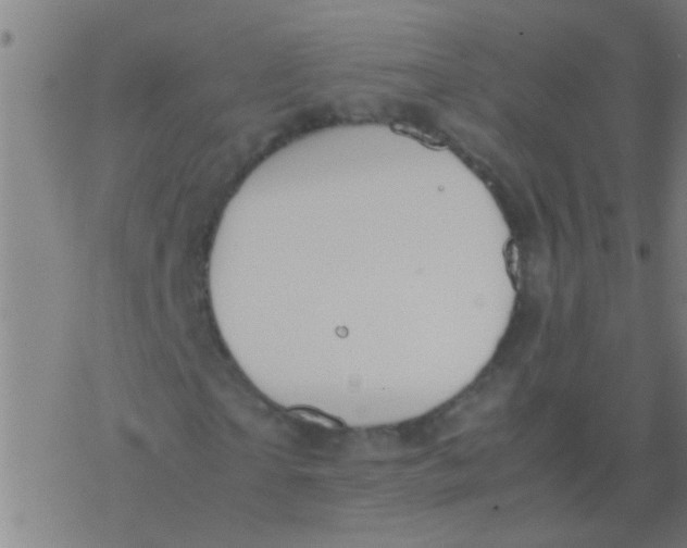 X0000077360865200611101637