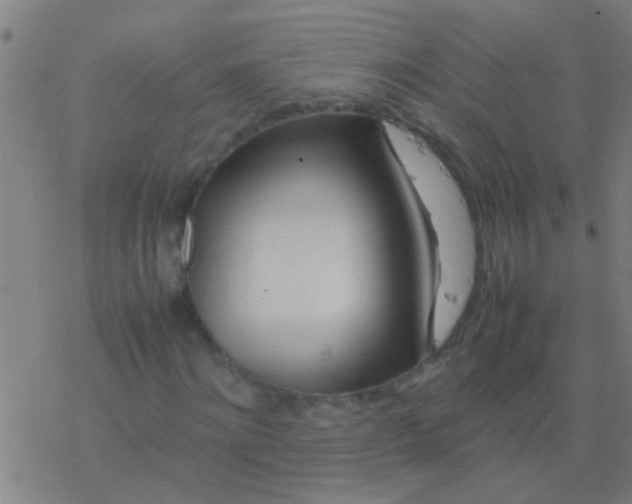 X0000077360868200611101636