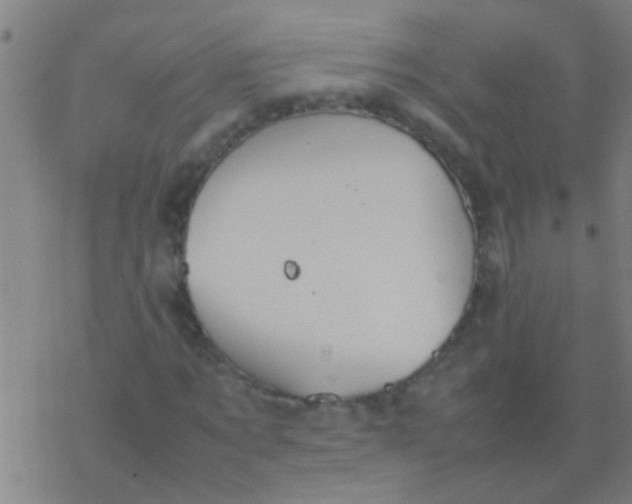 X0000077360869200611101636