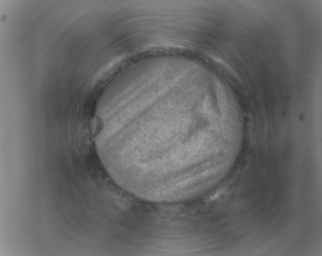 X0000077360870200611101636