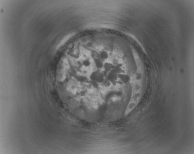 X0000077360871200611101636