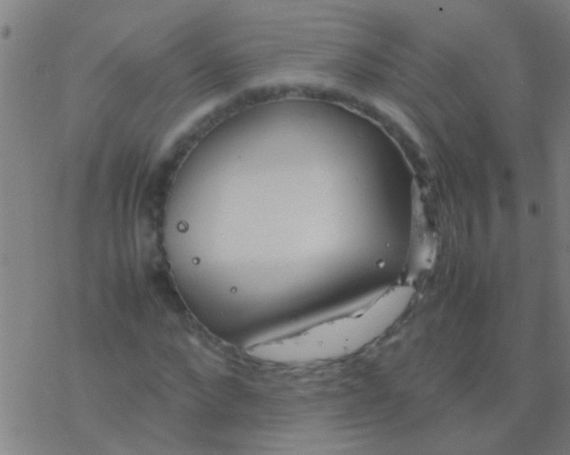 X0000077360872200611101636