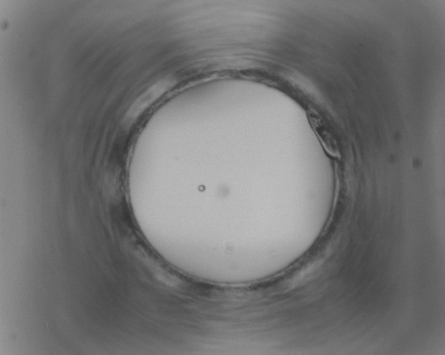 X0000077360873200611101636