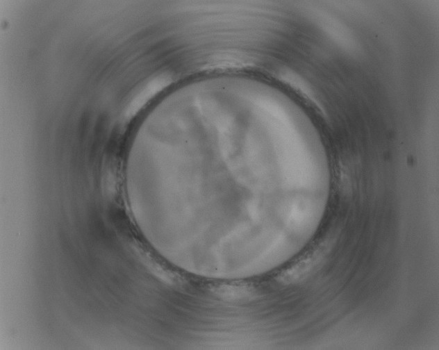 X0000077360874200611101636