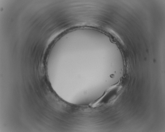 X0000077360876200611101636