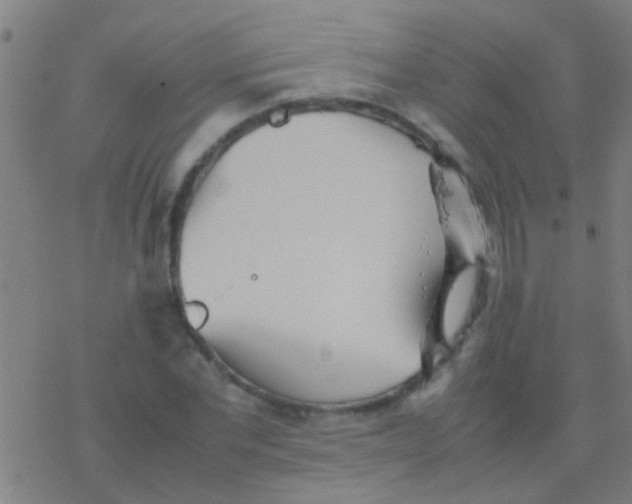 X0000077360877200611101636