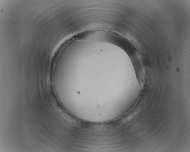 X0000077360880200611101636