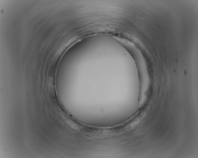 X0000077360881200611101636