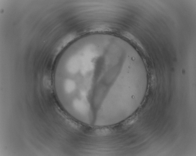 X0000077360882200611101636