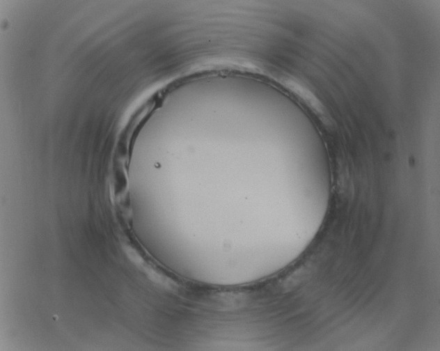 X0000077360888200611101636