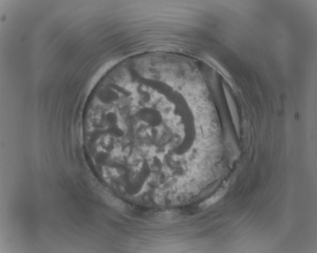 X0000077360891200611101636