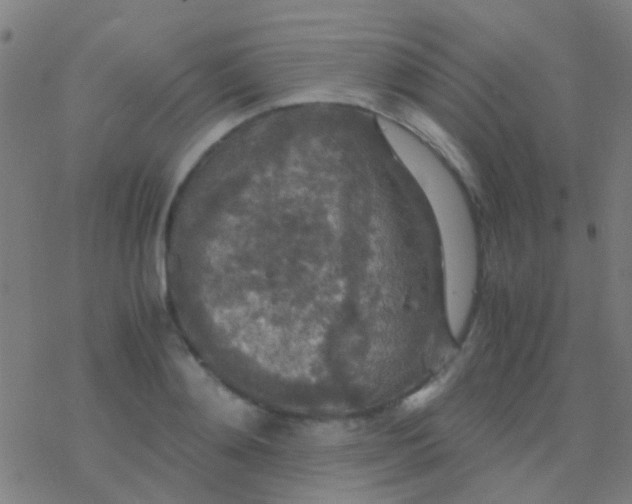 X0000077360892200611101636