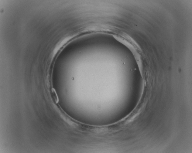 X0000077360893200611101636