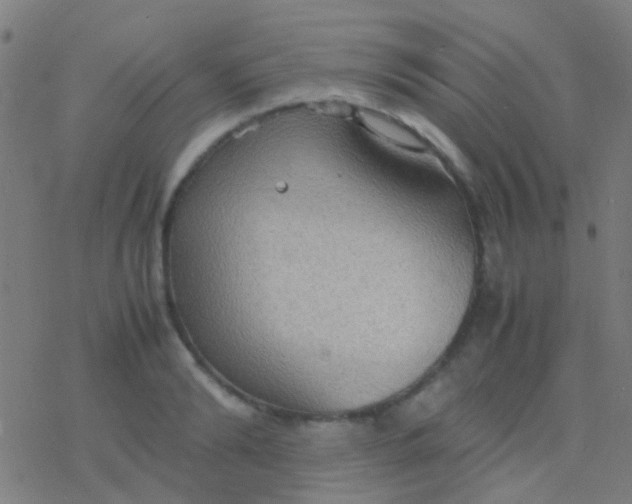 X0000077360894200611101636