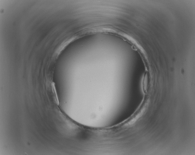 X0000077360897200611101636