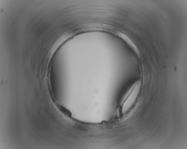 X0000077360901200611101636