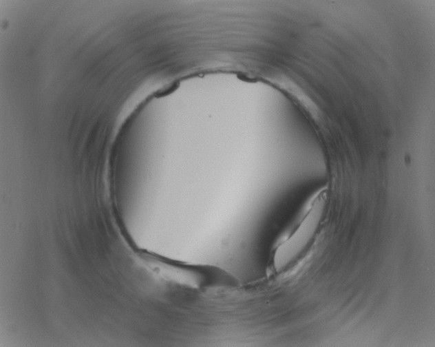 X0000077360902200611101636