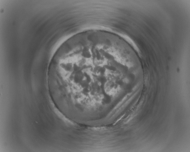 X0000077360903200611101636