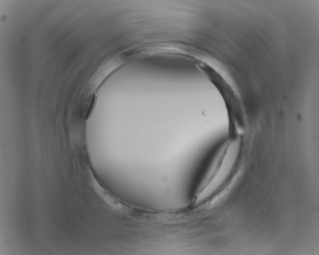 X0000077360905200611101636