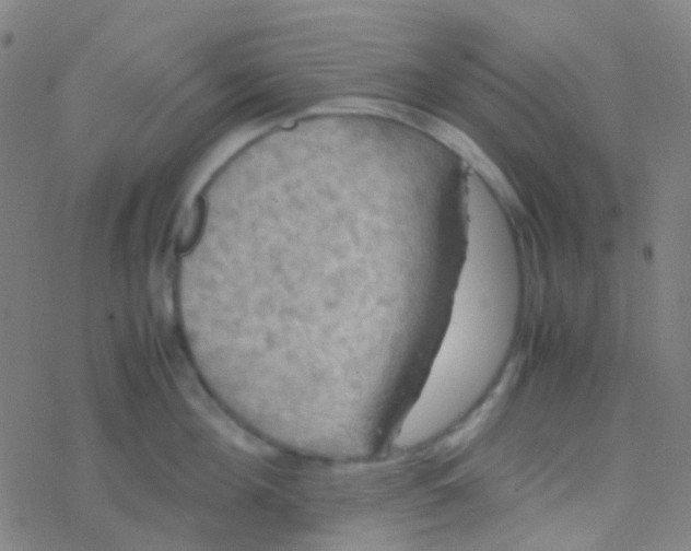 X0000077360908200611101636