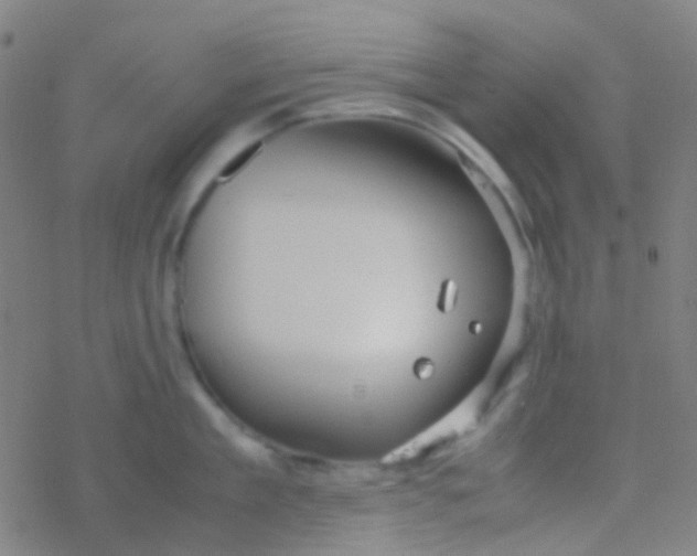 X0000077360909200611101636