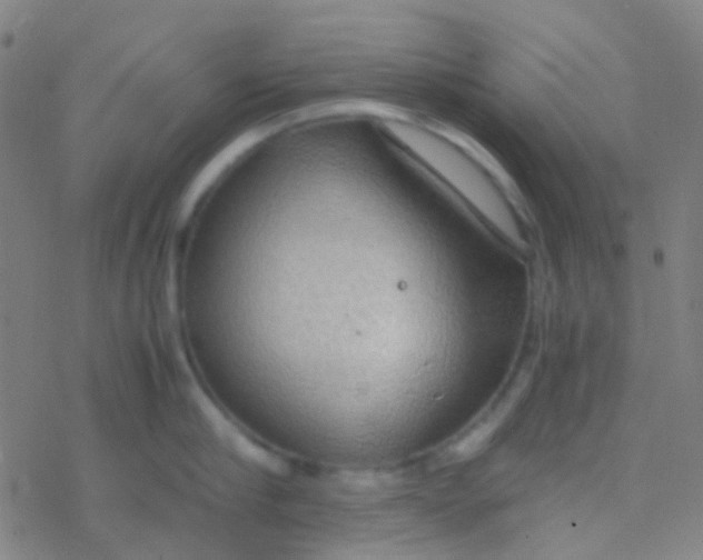 X0000077360910200611101636