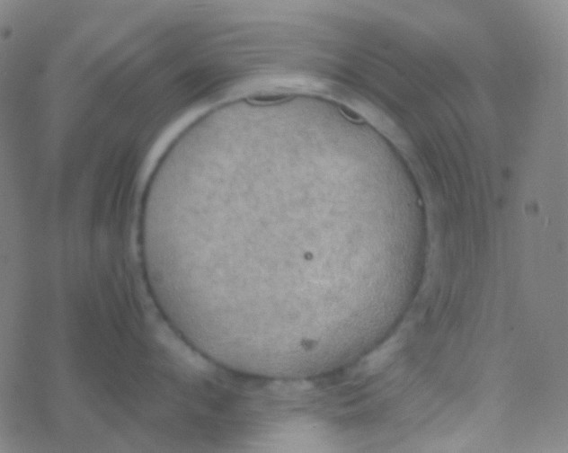 X0000077360912200611101636