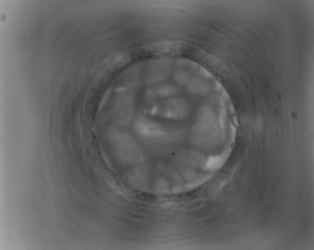 X0000077360913200611101635