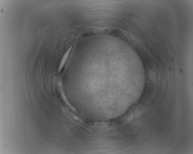 X0000077360914200611101635