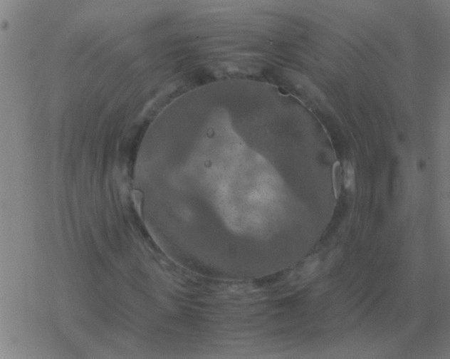 X0000077360915200611101635