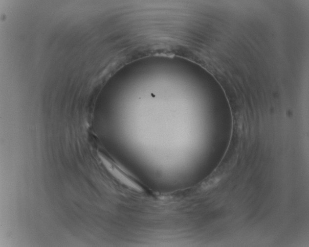 X0000077360916200611101635