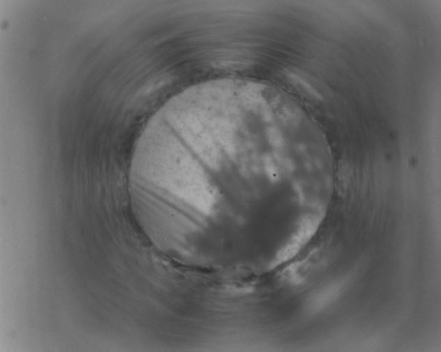 X0000077360917200611101635