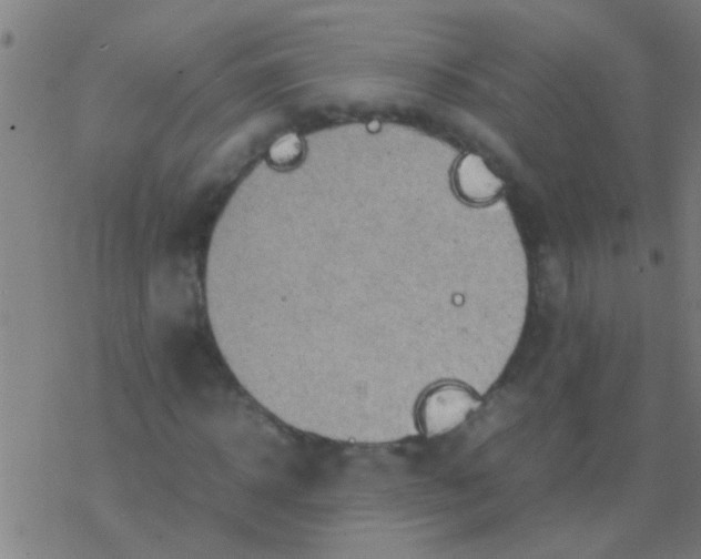 X0000077360918200611101635